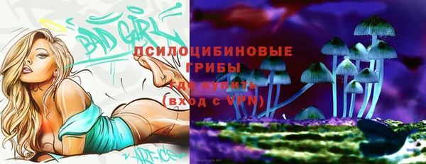 МДПВ Алексеевка