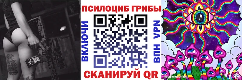 купить закладку Ачхой-Мартан Псилоцибиновые грибы Magic Shrooms
